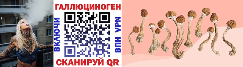 Галлюциногенные грибы Cubensis  Теберда 